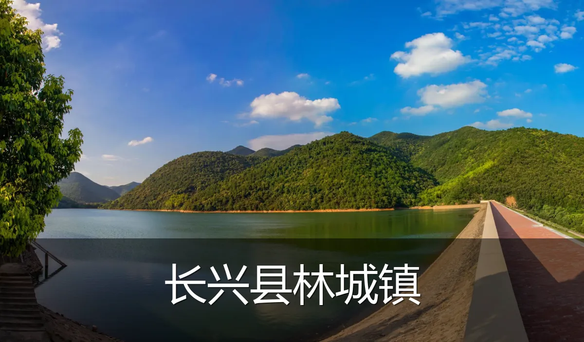 长兴县林城镇