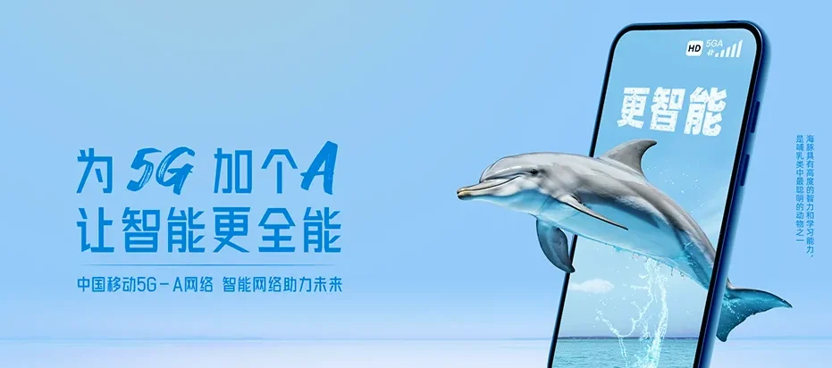 长兴县长兴县雉城街道 移动宽带